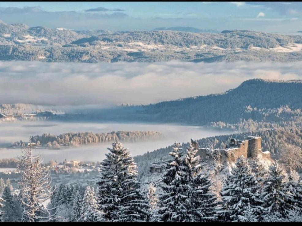 Alpe-Adria Apartments Chanel Top12 Oberaichwald  Eksteriør bilde