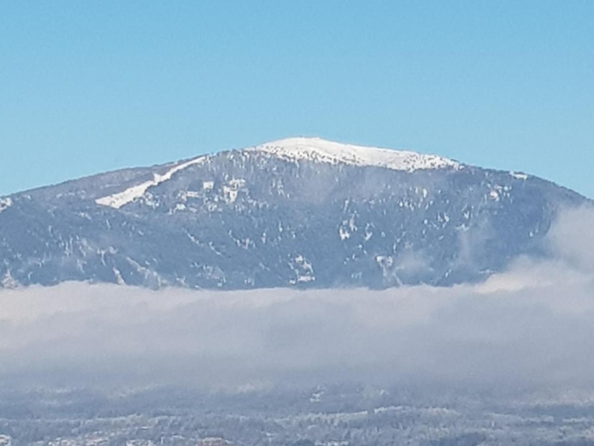Alpe-Adria Apartments Chanel Top12 Oberaichwald  Eksteriør bilde